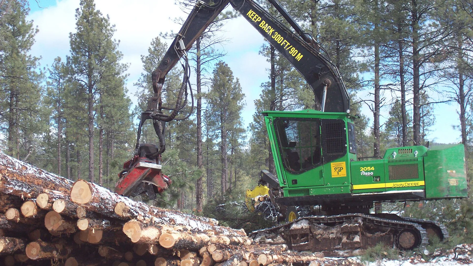 Forestry & Timber